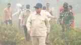 Presiden Prabowo Tinjau Kebakaran Hutan dan Lahan di Kubu Raya Kalimantan Barat, Rangkaian Agenda dan Arahan Penanganan Lapangan