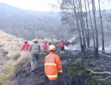 Upaya Tim Gabungan Padamkan Kebakaran 921 Hektare Lahan di Gunung Bromo