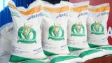 Heboh Kabar Pungli Bansos, Bapanas Buka Suara
