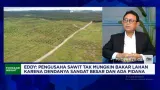 Kemarau Panjang Bikin Sungai Kering, Pengusaha Sawit Hadapi Hambatan Distribusi CPO