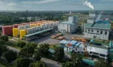 Kinerja Keuangan PTPN Group Melonjak pada Semester I 2026 Seiring Transformasi Bisnis