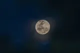 Penyebab dan Dampak Tabrakan Roket Falcon 9 SpaceX di Bulan