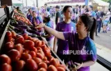 Karhutla dan Abu Anak Krakatau Ancam Aktivitas Ekonomi hingga Rp 123,1 Triliun