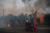 WMO Peringatkan Ancaman Kebakaran Hutan dan Gelombang Panas Terhadap Kualitas Udara Global