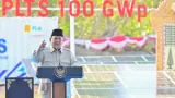 METI Dukung PLTS 100 GWp, Dorong Transformasi Energi Nasional