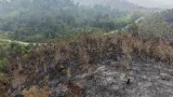 Helikopter Jepang Bantu Padamkan Kebakaran Hutan Kalbar