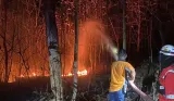Kebakaran Landa Hutan Jati di Wilayah Kebumen, Api Mendekati Permukiman Warga