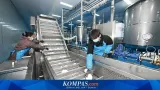 Aturan Baru Kemendag, Relaksasi Impor Barang dan Solusi Kiriman Pekerja Migran
