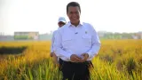 IndexPolitica, Kinerja Mentan Amran Raih Skor 91, Tertinggi di Kabinet